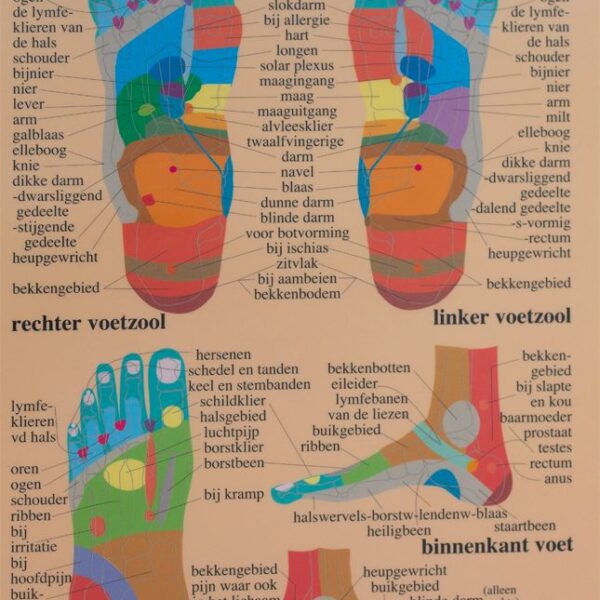 Voetreflex Therapie